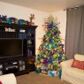 Jamie King's Christmas tree from Rock Springs, Wy, USA 