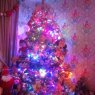 Sapin de Noël de Chantelles tree (Merseyside, England)