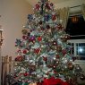 Weihnachtsbaum von de Zilva (Coquitlam, BC, Canada)