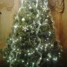 Weihnachtsbaum von Frievalt  (WI, USA)