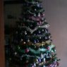 blakoski cedric's Christmas tree from Blanzy, France