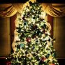 Weihnachtsbaum von Domi Mondon (Columbus, OH, USA)