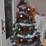 Weihnachtsbaum von Condette (Nord Pas De Calais, France)