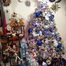 Arialprisss's Christmas tree from México DF, México