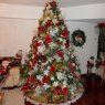 Maria Eugenia Acosta's Christmas tree from Caracas, Venezuela