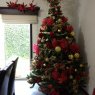 Pattyalba's Christmas tree from Saltillo, Coahuila, Mexico