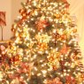 Weihnachtsbaum von Ana Maria Bueno (Florida, EEUU)