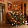 Andreas Pfau's Christmas tree from Friedrichshafen, Deutschland