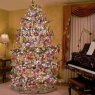 Daria's Christmas tree from Pennsylvania, USA