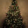 Xevi's Christmas tree from Girona, España