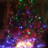 Hognon's Christmas tree from Metz, France