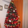 Weihnachtsbaum von Maria Georgieva (Valencia, España)
