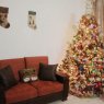 Fabricio Garcia's Christmas tree from Milagro, Ecuador
