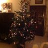 Árbol de Navidad de Sapin Sympa (Le Touquet, France)