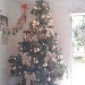 Pamela Rubilar's Christmas tree from Chile
