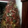 Árbol de Navidad de Robert Medina (Maracaibo, Venezuela)