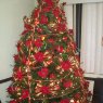 Brenda Rodríguez Morales's Christmas tree from México D.F., México