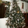 Bibi Mamani Mattaliano's Christmas tree from Rosario, Argentina