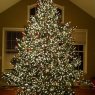 Erin Paine's Christmas tree from USA