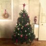 Sapinou's Christmas tree from Peipin, France