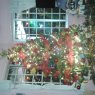 familia Caballero's Christmas tree from Chiriqui, Panama