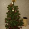 Mariola Leciñena 's Christmas tree from Zaragoza, España