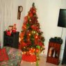 Melissa Torres's Christmas tree from Cali Valle, Colombia