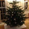 Silvia Moosleitner's Christmas tree from Saaldorf-Surheim, Germany