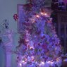 Nina Ayarin Moyetones 's Christmas tree from Caracas 