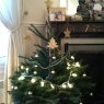 Sapin Parisien's Christmas tree from Paris, France