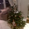 petite typhene's Christmas tree from Grenoble, France