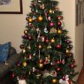 Solange Sierra J.'s Christmas tree from Chile