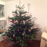Weihnachtsbaum von Max the Christmas tree from Austria (Mödling, Austria)