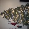 Lauren R. Jones's Christmas tree from Columbia SC, USA