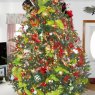 Jerry & Melanie Storey's Christmas tree from Murfreesboro, NC, USA