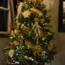 Caroline's Christmas tree from Sherbrooke, Canada