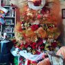 Árbol de Navidad de Familia Strauss (Maracay, Aragua, Venezuela)