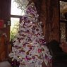 Itzel Olivares's Christmas tree from México, d.f