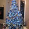 Cédric's Christmas tree from Calais, France