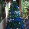 Nacho Montero's Christmas tree from Costa Rica