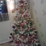 verstuyft's Christmas tree from Avion, France