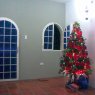 Weihnachtsbaum von Juan C Suàrez (Duaca, Lara ,Venezuela)