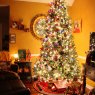 Amanda Coley's Christmas tree from Sanford, NC, USA