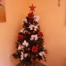 fany's Christmas tree from Tenerife, España