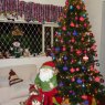 Claudia Tapety's Christmas tree from Recife, Pernambuco, Brazil