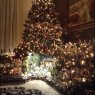 Gricelda Castro's Christmas tree from CA, USA