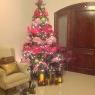 Valeria's Christmas tree from La Paz B.C.S, Mexico