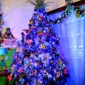 Gertrudis Zamudio's Christmas tree from Alvarado, Veracruz, México