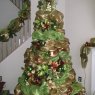 Angie Hoover's Christmas tree from Washington DC, USA