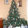Weihnachtsbaum von Obringer Marie (Tours, France)
